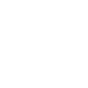 ripplebloom - digital marketing agency