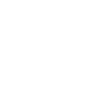 ripplebloom - digital marketing agency